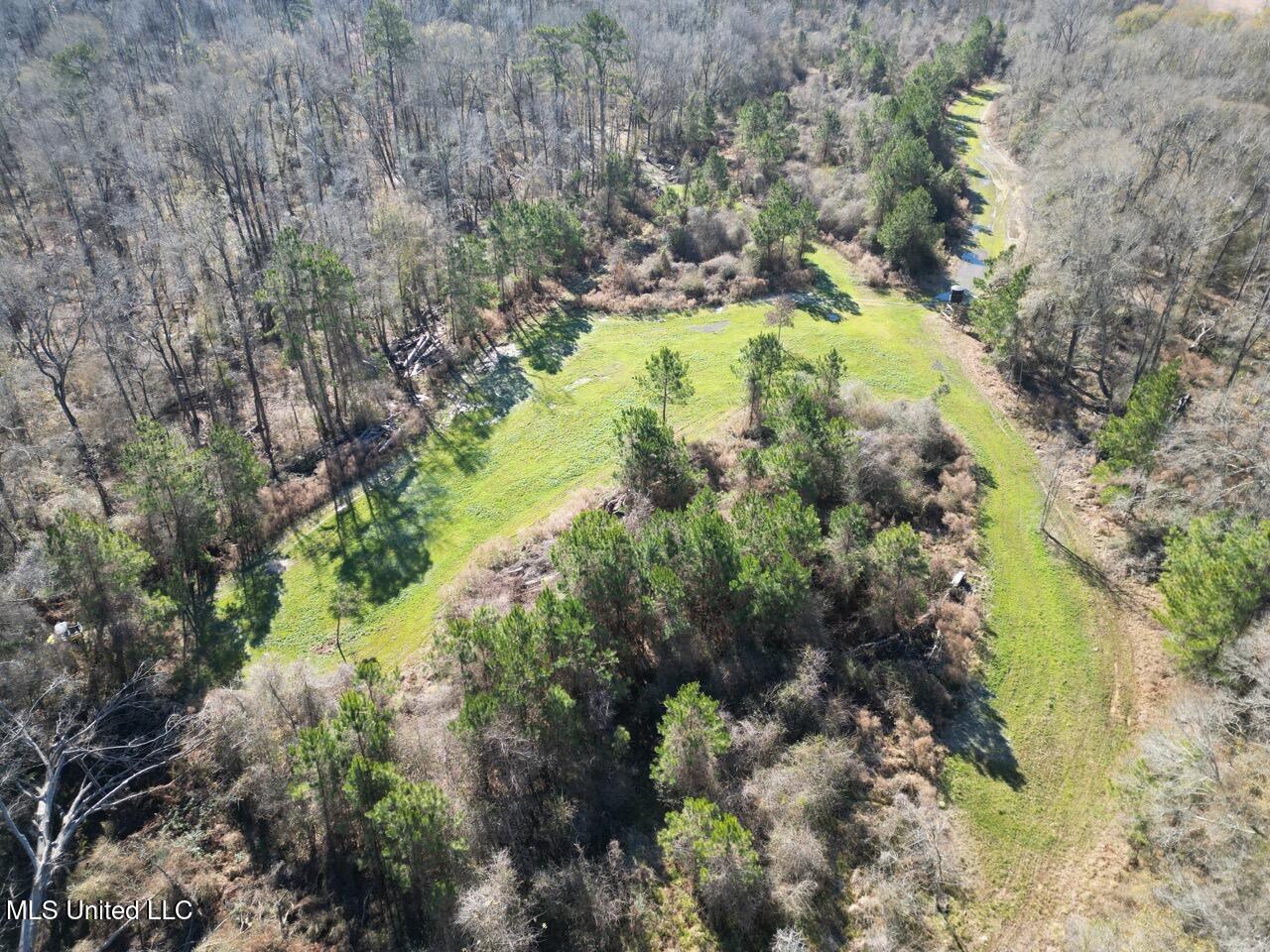 11311 Port Hudson-Pride Road Zachary, LA 70791 - Photo 20 of 41 DJI_0225 Large