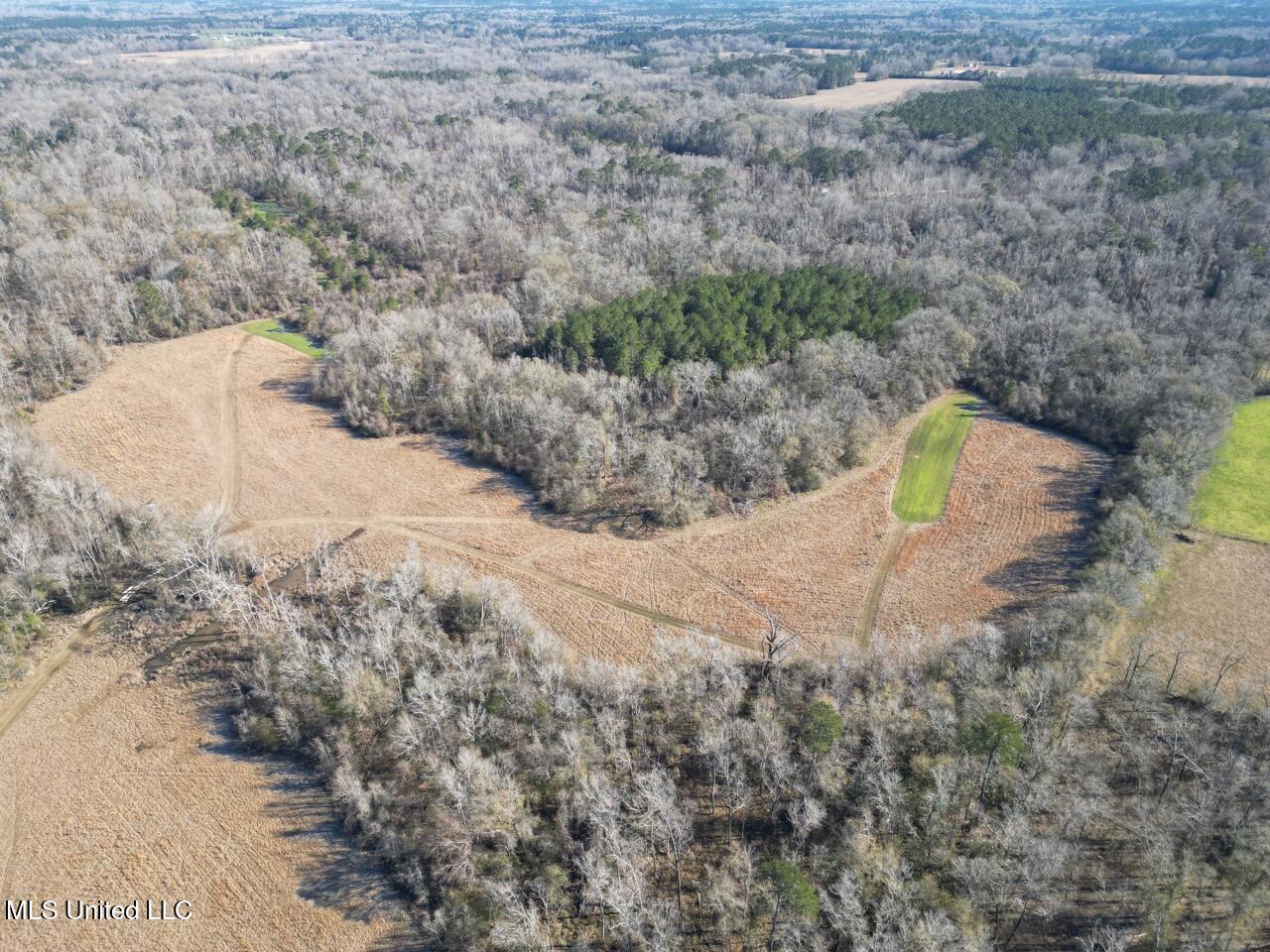 11311 Port Hudson-Pride Road Zachary, LA 70791 - Photo 2 of 41 DJI_0188 Large