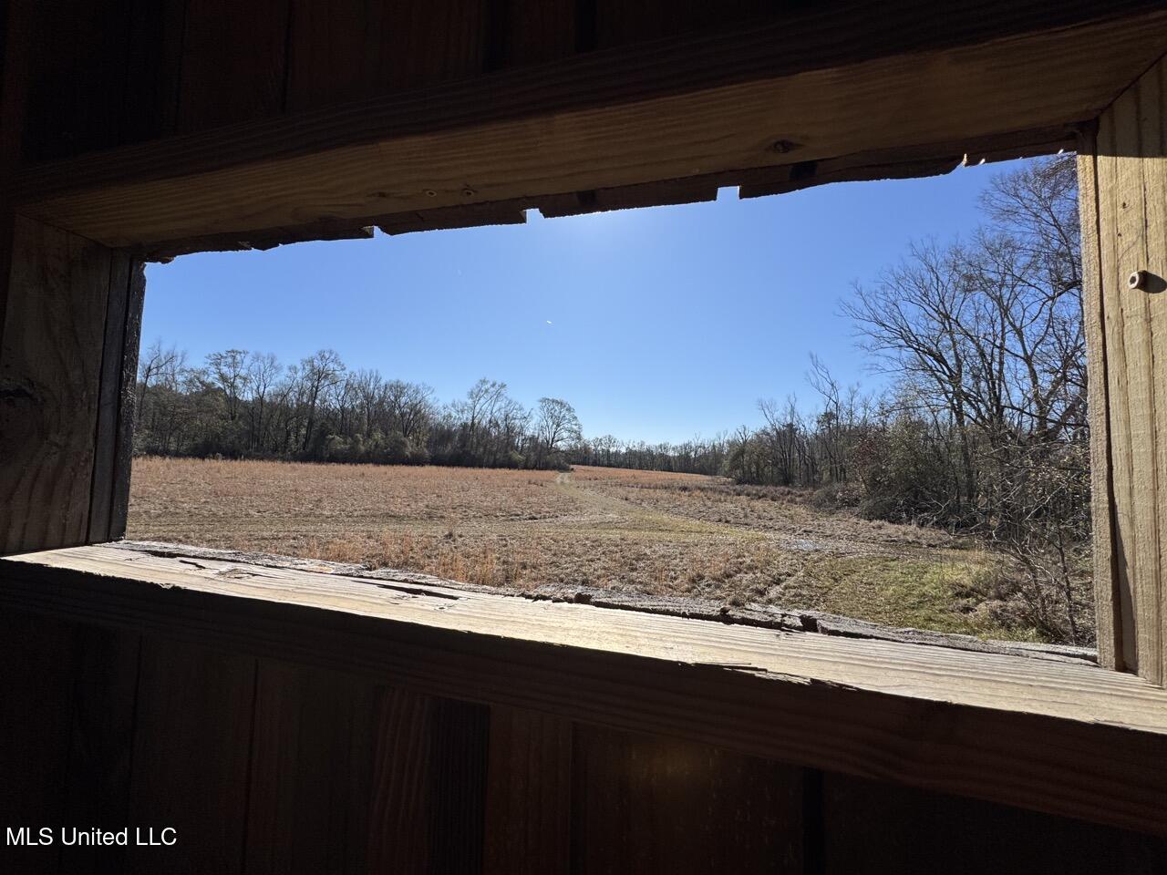 11311 Port Hudson-Pride Road Zachary, LA 70791 - Photo 25 of 41 IMG_1594 Large