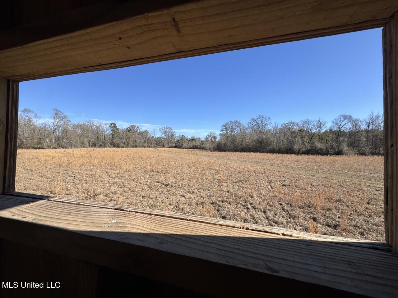 11311 Port Hudson-Pride Road Zachary, LA 70791 - Photo 26 of 41 IMG_1595 Large