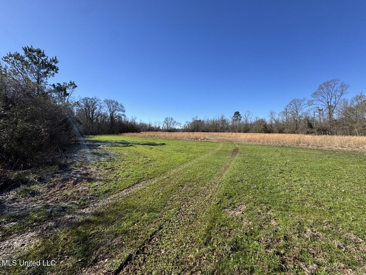 11311 Port Hudson-Pride Road Zachary, LA 70791 - Photo 27 of 41 IMG_1596 Large