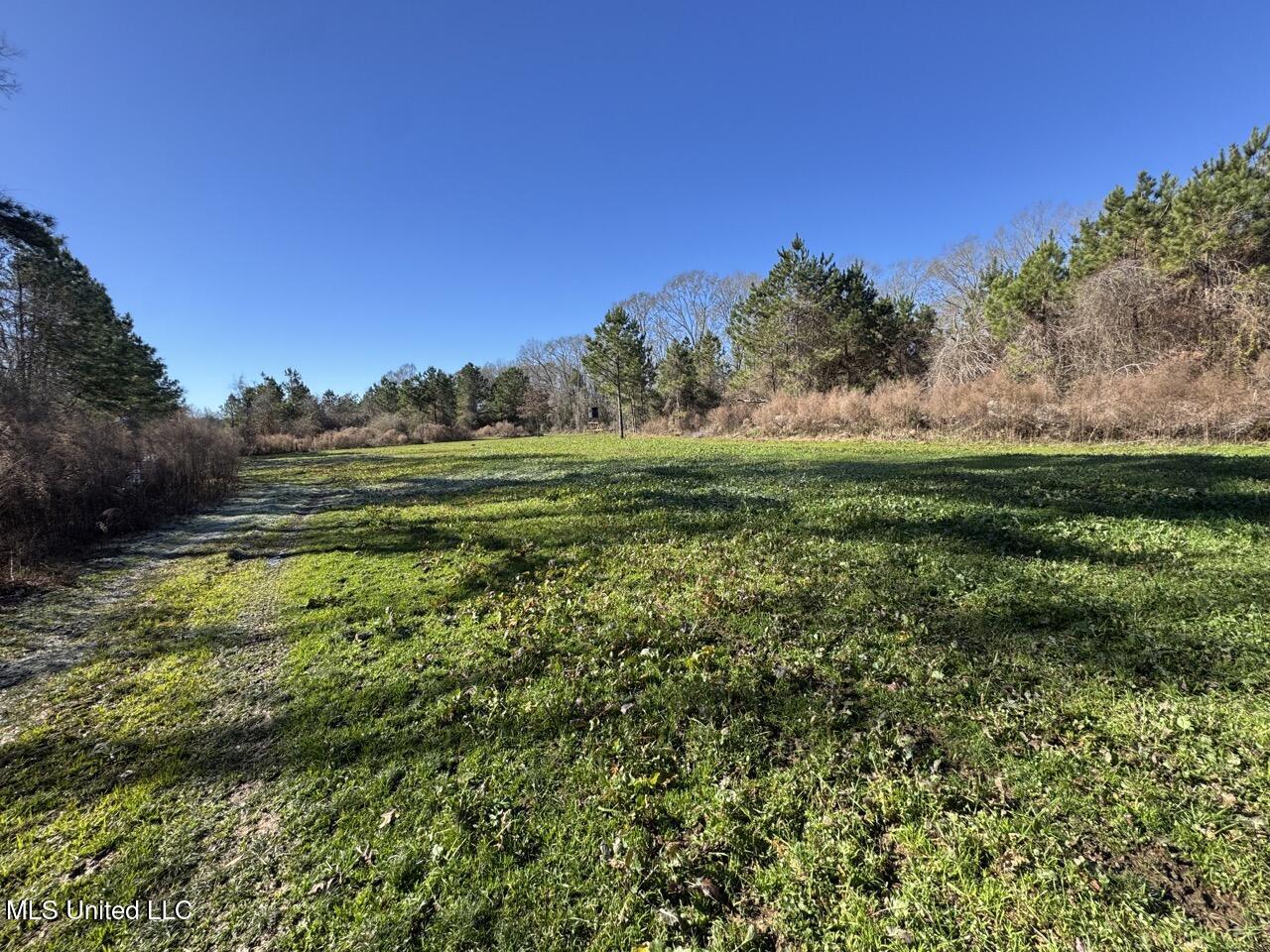 11311 Port Hudson-Pride Road Zachary, LA 70791 - Photo 29 of 41 IMG_1599 Large