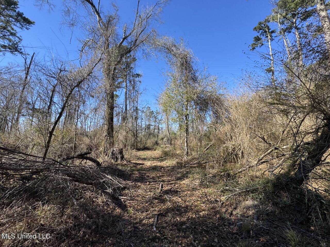 11311 Port Hudson-Pride Road Zachary, LA 70791 - Photo 31 of 41 IMG_1601 Large