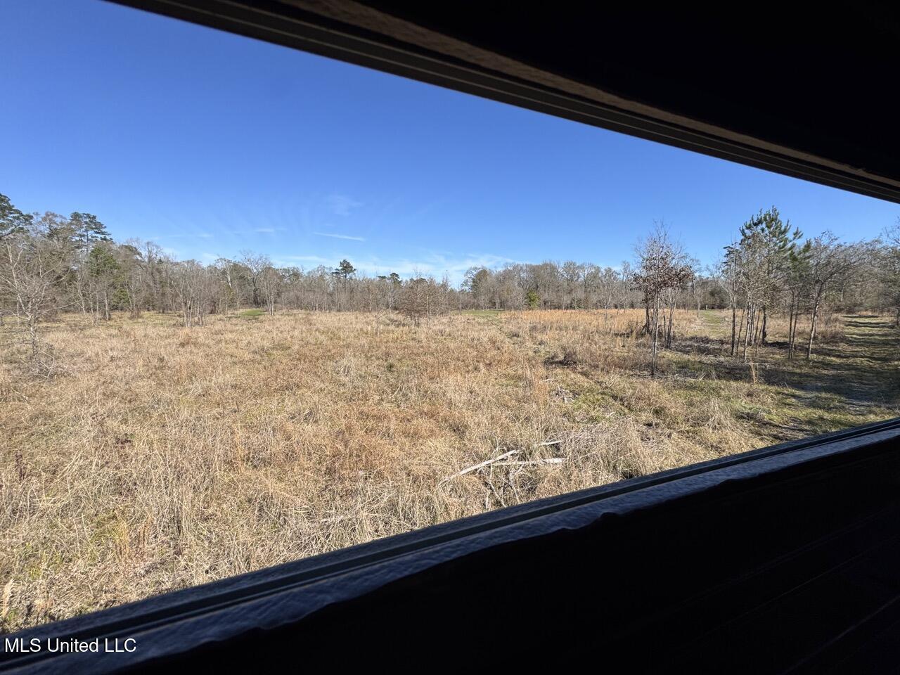 11311 Port Hudson-Pride Road Zachary, LA 70791 - Photo 32 of 41 IMG_1602 Large