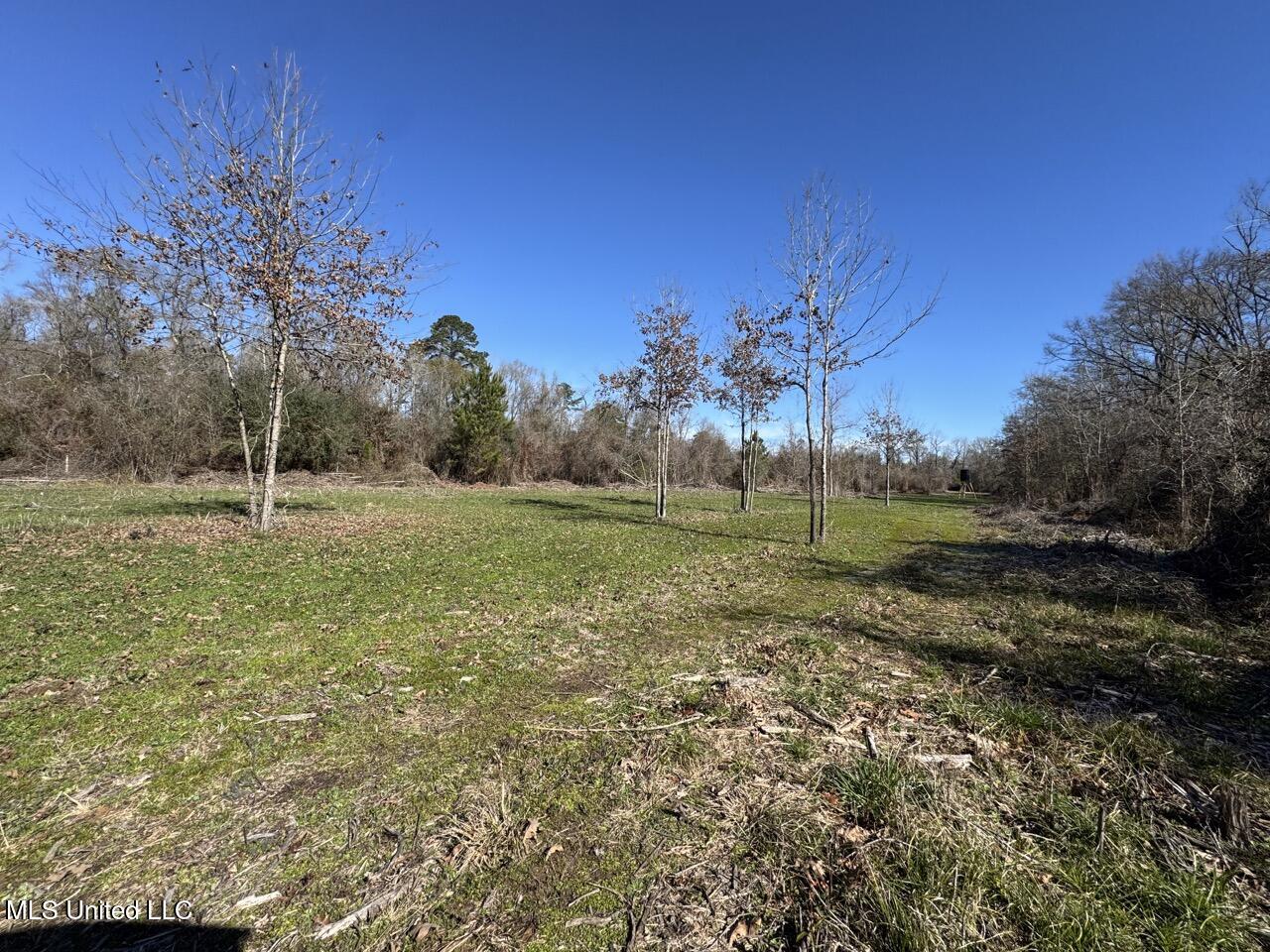 11311 Port Hudson-Pride Road Zachary, LA 70791 - Photo 33 of 41 IMG_1603 Large