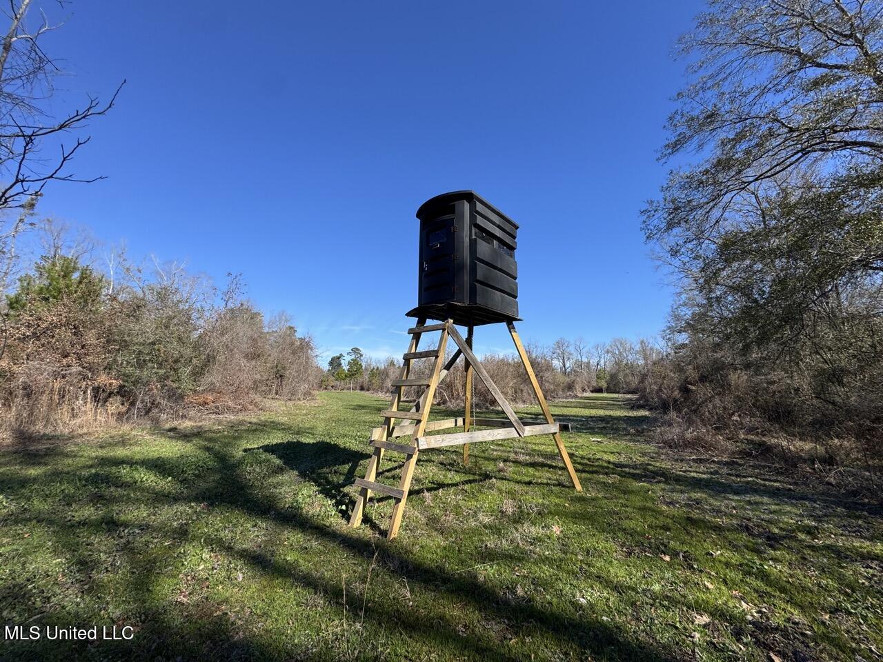 11311 Port Hudson-Pride Road Zachary, LA 70791 - Photo 34 of 41 IMG_1604 Large