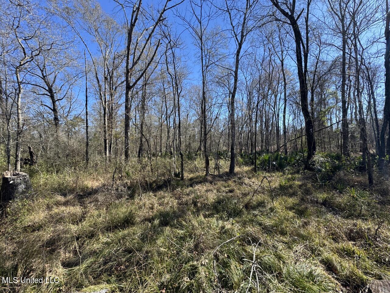 11311 Port Hudson-Pride Road Zachary, LA 70791 - Photo 37 of 41 IMG_1607 Large