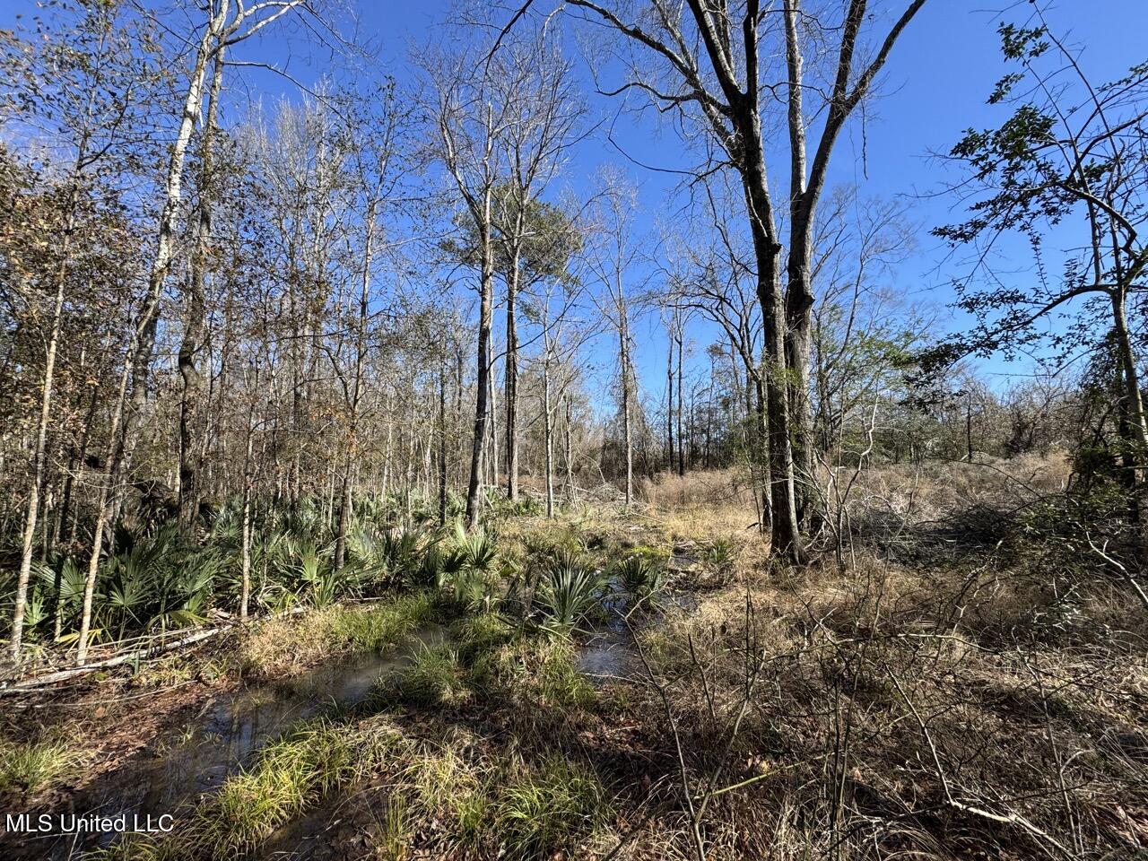 11311 Port Hudson-Pride Road Zachary, LA 70791 - Photo 39 of 41 IMG_1609 Large