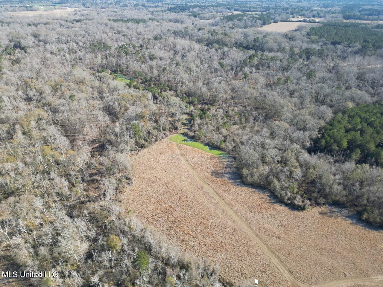 11311 Port Hudson-Pride Road Zachary, LA 70791 - Photo 4 of 41 DJI_0191 Large