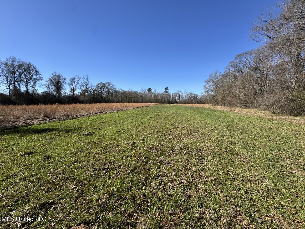 11311 Port Hudson-Pride Road Zachary, LA 70791 - Photo 41 of 41 IMG_1611 Large