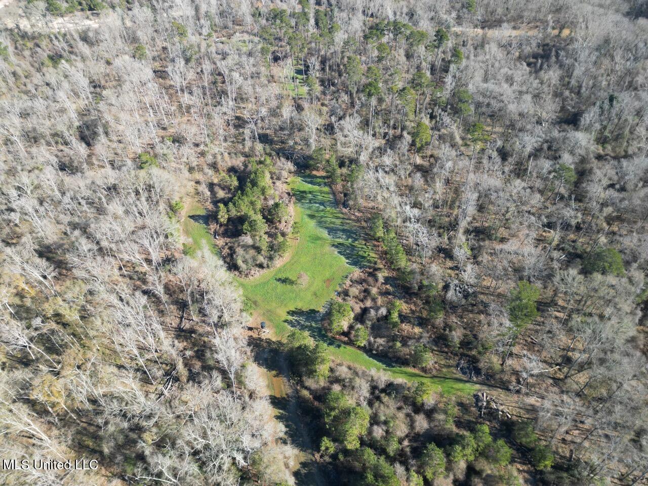 11311 Port Hudson-Pride Road Zachary, LA 70791 - Photo 5 of 41 DJI_0194 Large