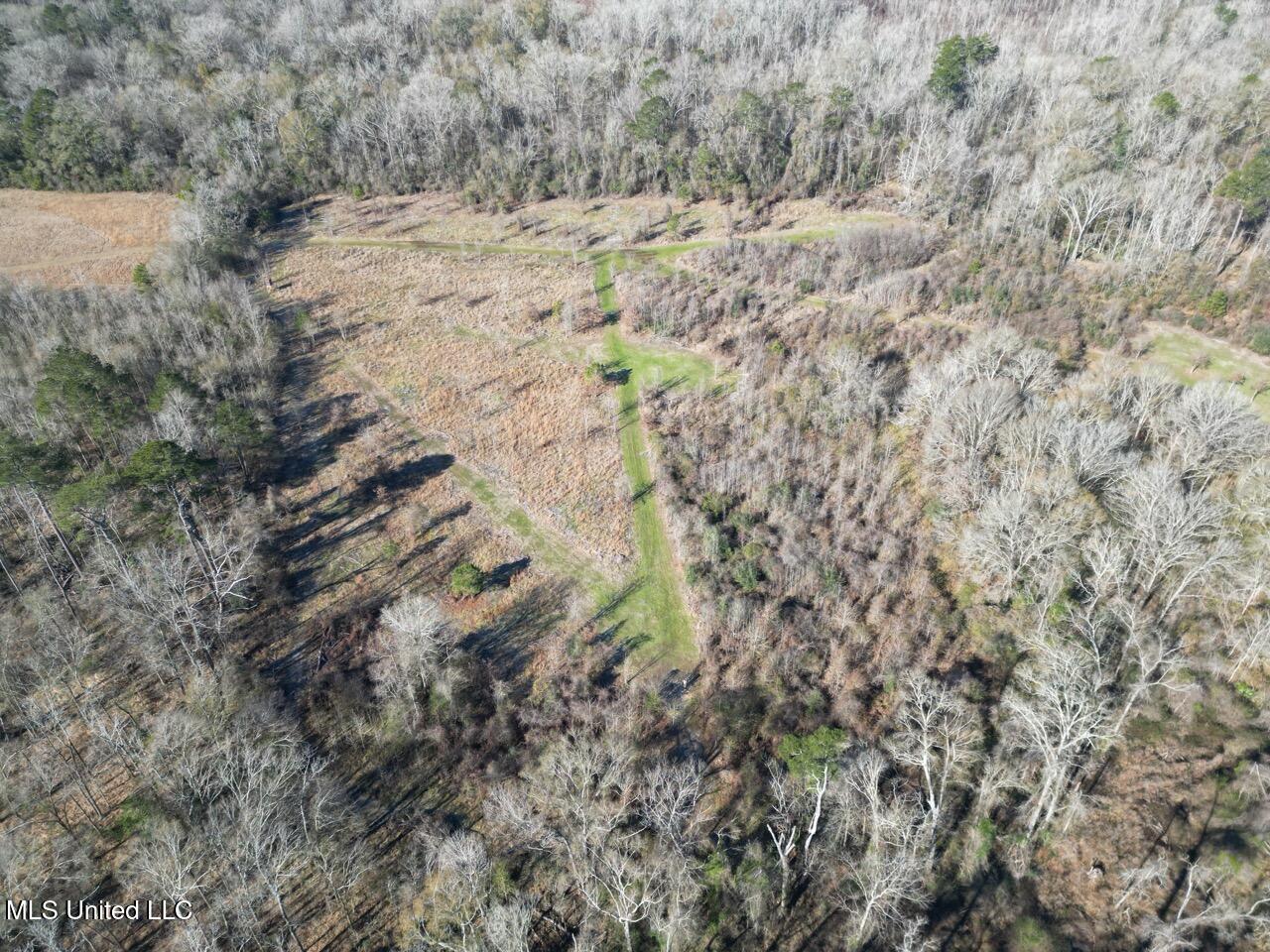 11311 Port Hudson-Pride Road Zachary, LA 70791 - Photo 6 of 41 DJI_0196 Large
