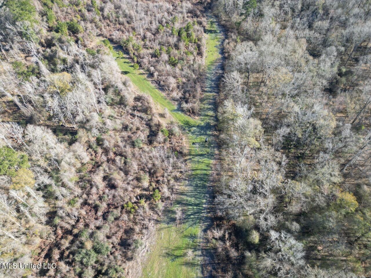 11311 Port Hudson-Pride Road Zachary, LA 70791 - Photo 7 of 41 DJI_0198 Large