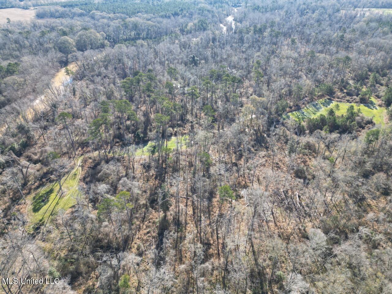 11311 Port Hudson-Pride Road Zachary, LA 70791 - Photo 9 of 41 DJI_0202 Large