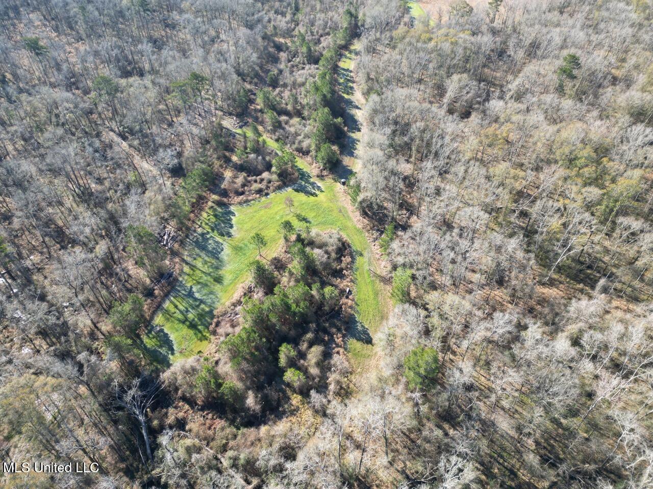 11311 Port Hudson-Pride Road Zachary, LA 70791 - Photo 10 of 41 DJI_0203 Large