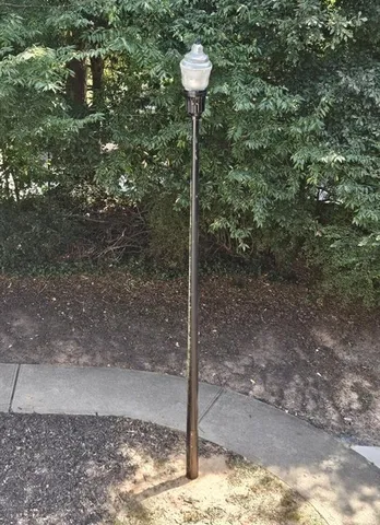 a view of a tree in the middle of a yard