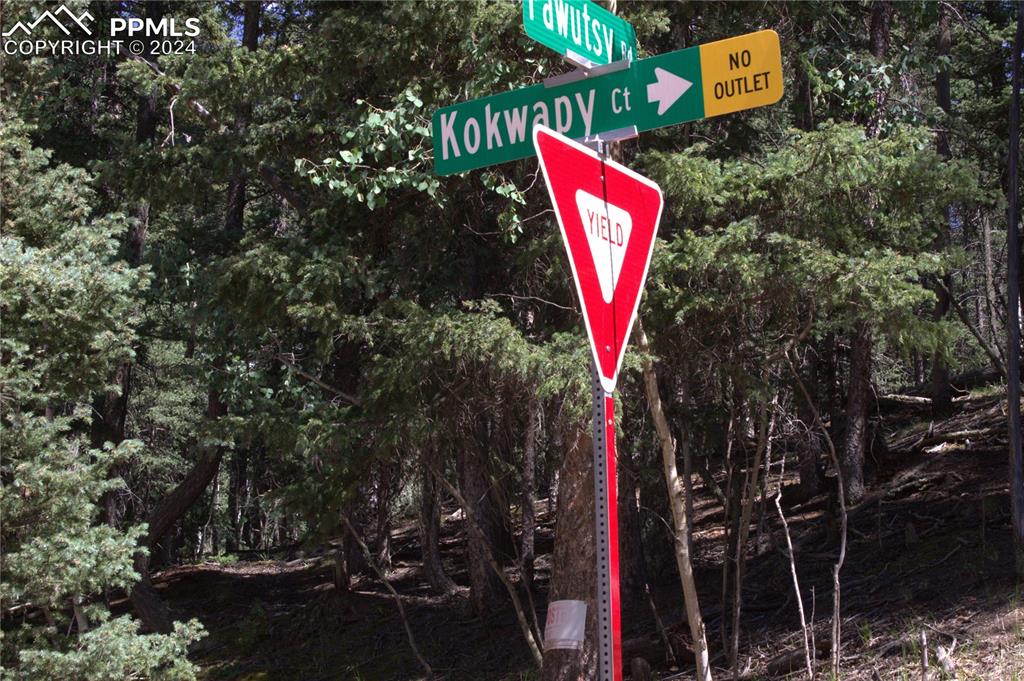 358 Pawutsy Road Florissant, CO 80816 - Photo 12 of 21