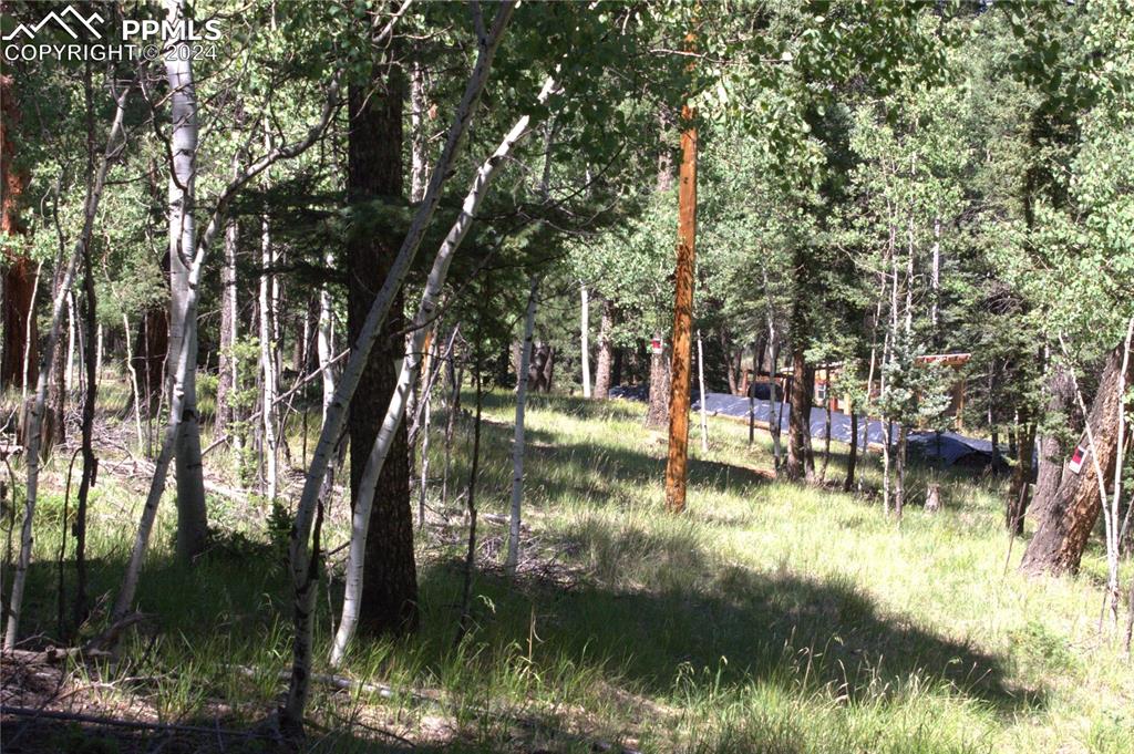 358 Pawutsy Road Florissant, CO 80816 - Photo 13 of 21