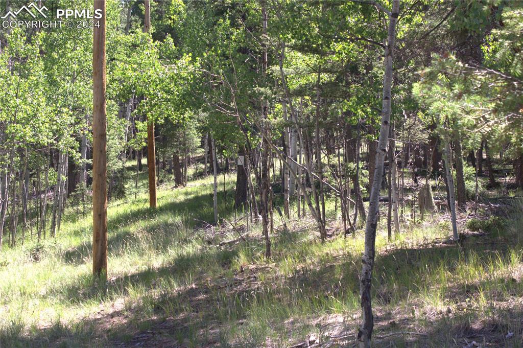 358 Pawutsy Road Florissant, CO 80816 - Photo 18 of 21