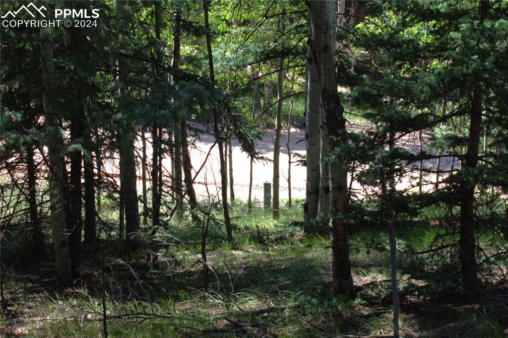 358 Pawutsy Road Florissant, CO 80816 - Photo 19 of 21