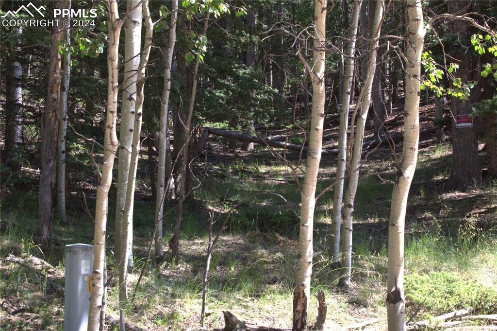 358 Pawutsy Road Florissant, CO 80816 - Photo 2 of 21