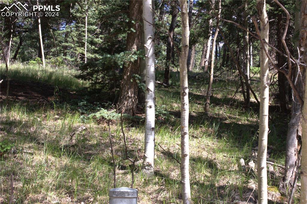 358 Pawutsy Road Florissant, CO 80816 - Photo 21 of 21