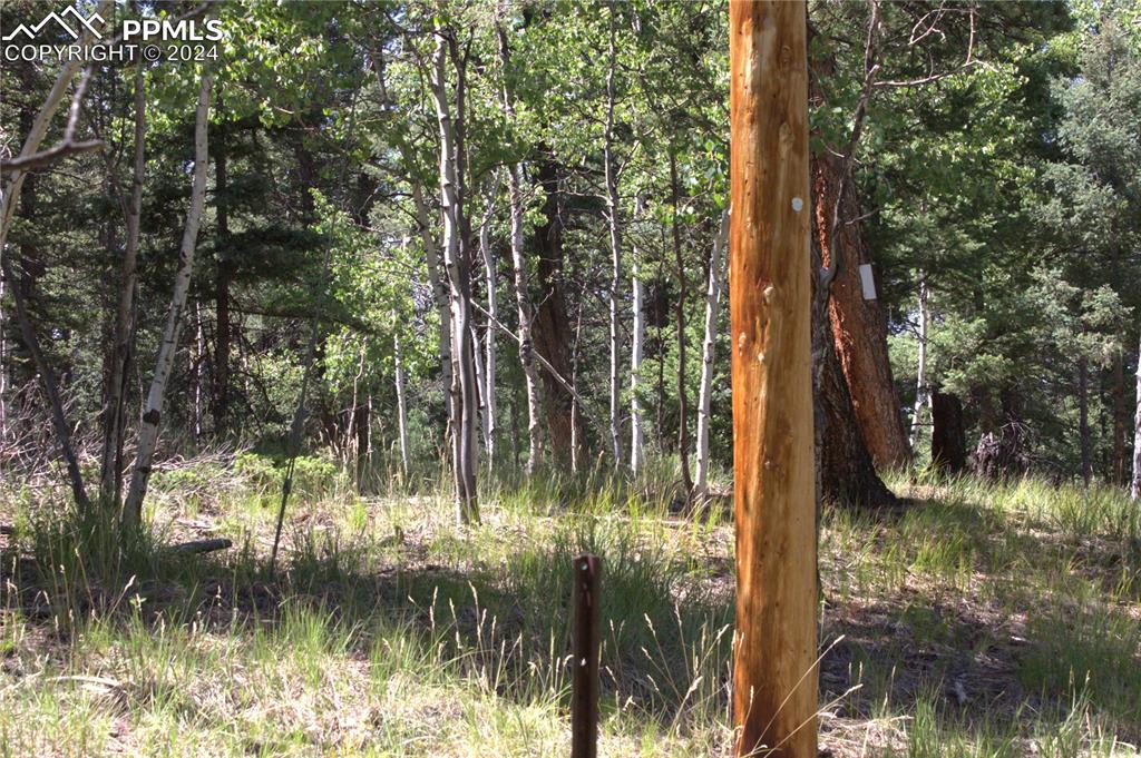 358 Pawutsy Road Florissant, CO 80816 - Photo 8 of 21