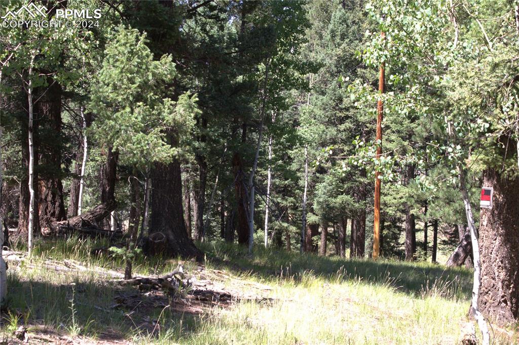 358 Pawutsy Road Florissant, CO 80816 - Photo 9 of 21