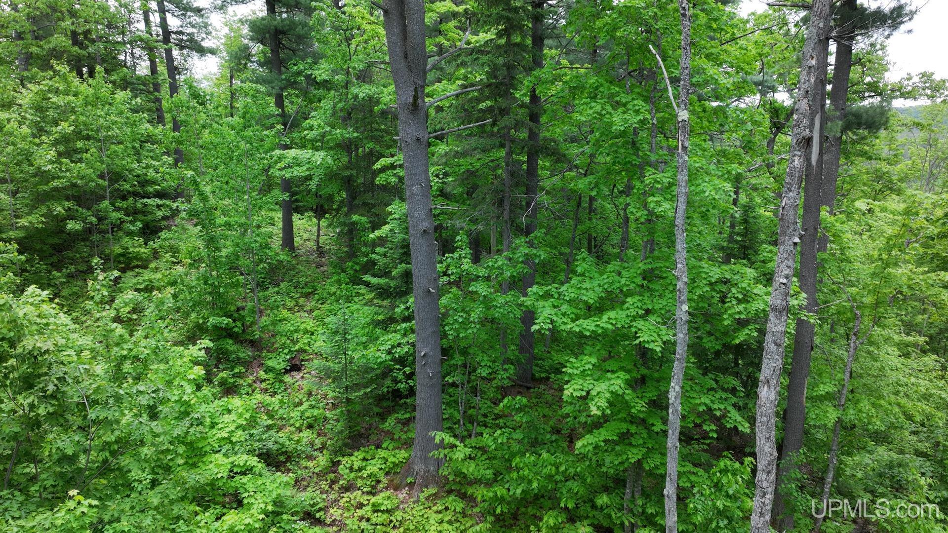 Tbd Tbd Co Road Negaunee, MI 49866 - Photo 40 of 47