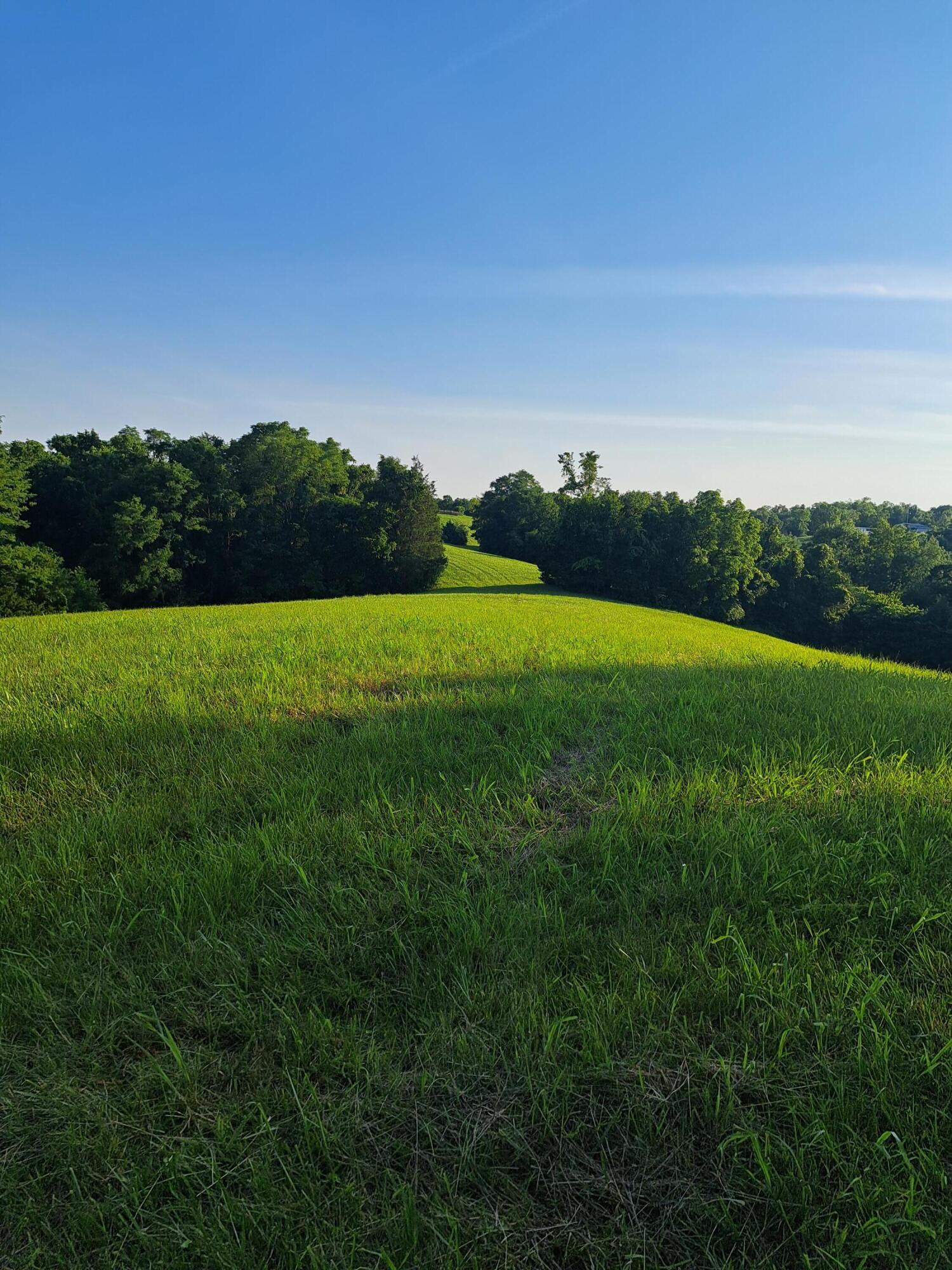 0 Layton Chapel Road Corinth, KY 41010 - Photo 10 of 10 Gallery Image 10