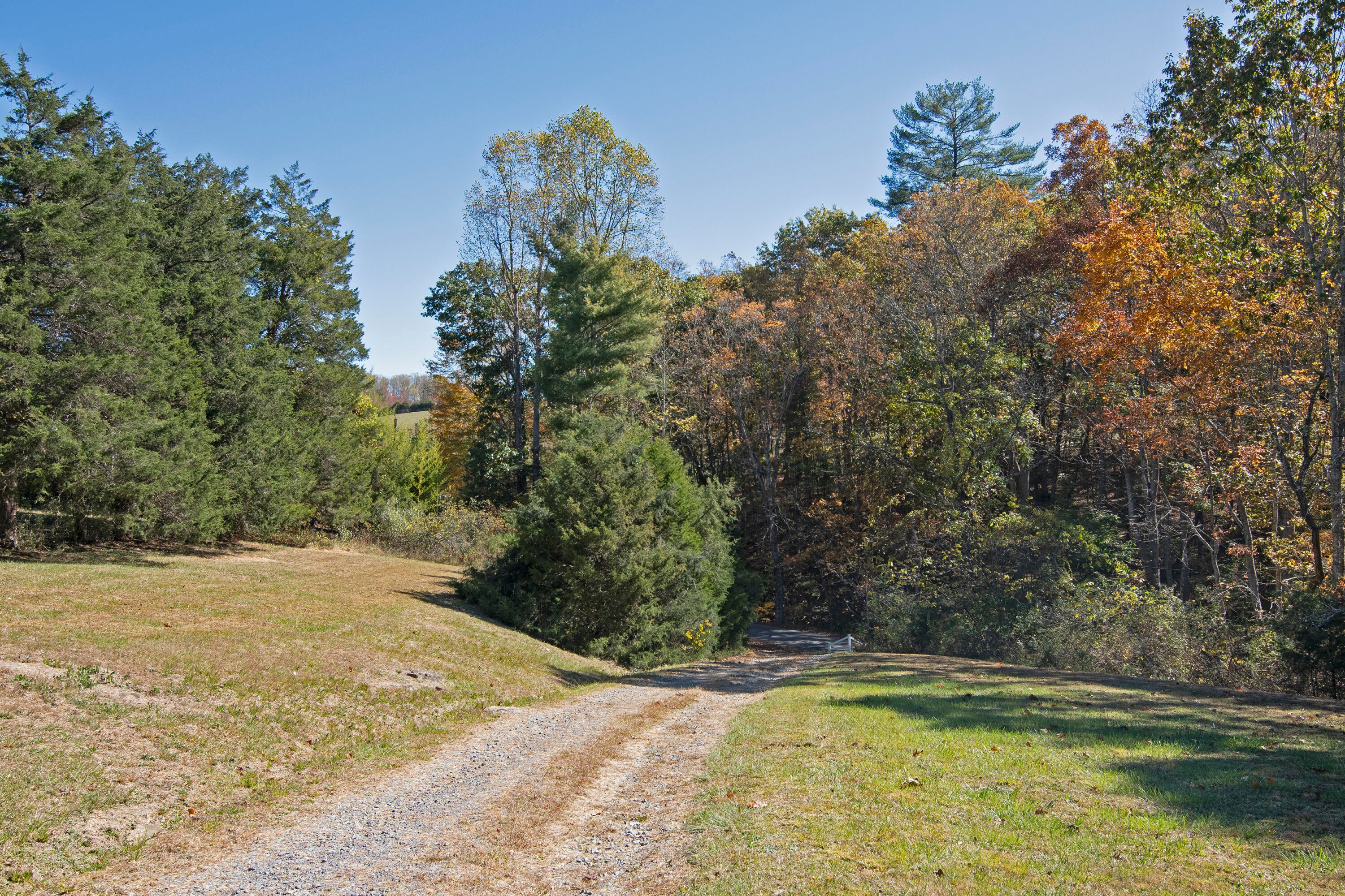 325 Marie Road Wayside, WV 24985 - Photo 30 of 74 MRL_0030