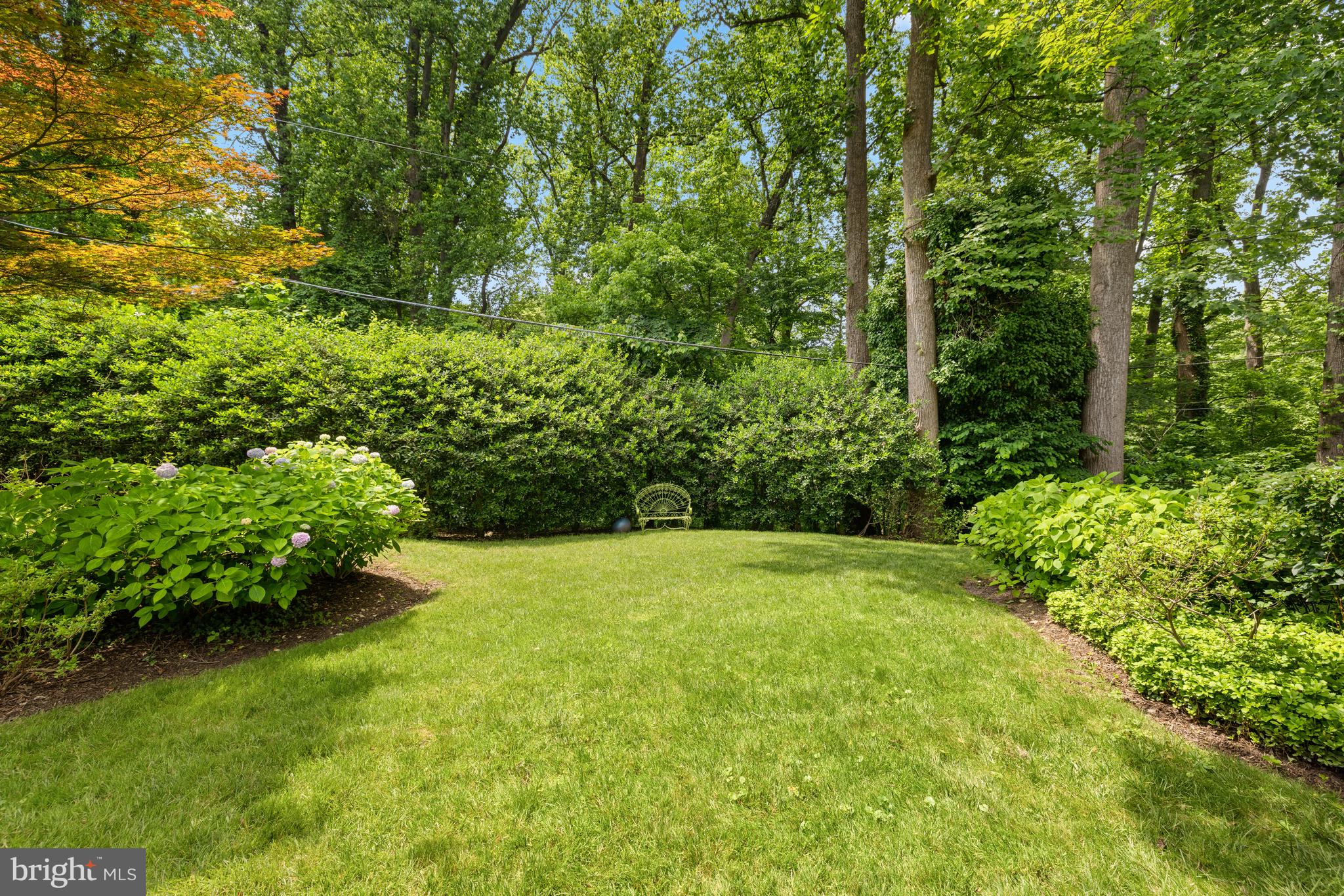 5060 Overlook Road Northwest Washington, DC 20016 - Photo 10 of 12 Lush Rear Yard