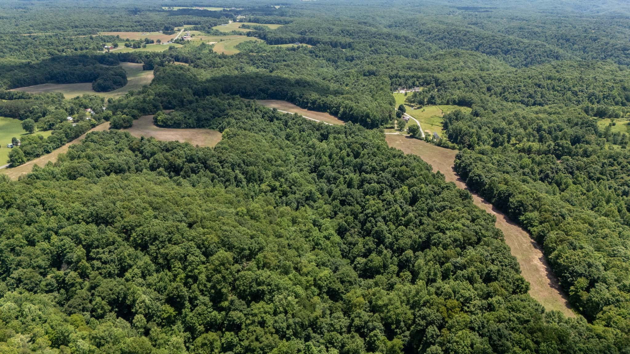 3772 Pea Ridge Road Liberty, TN 37095 - Photo 12 of 52
