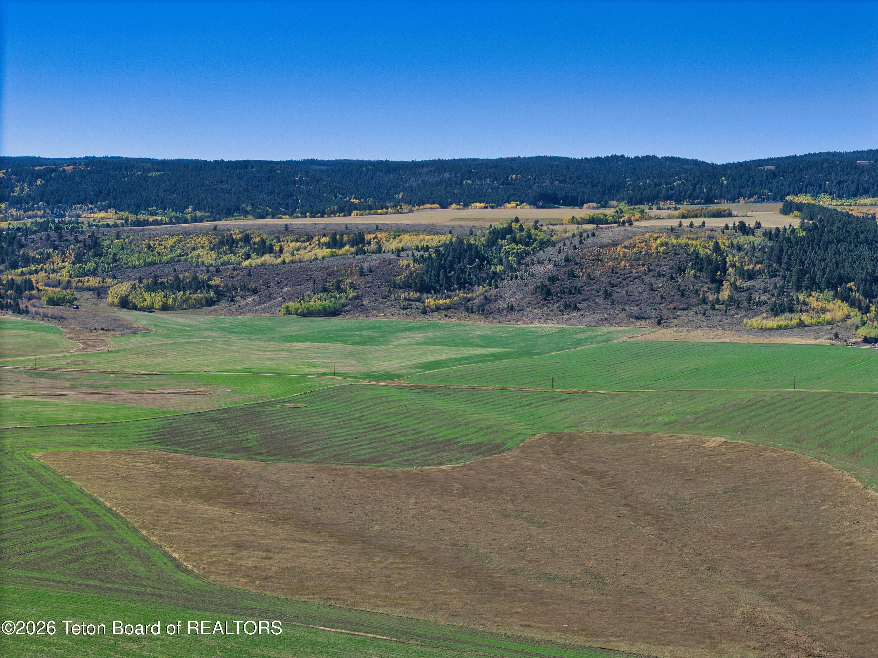 8900 Appaloosa Tetonia, ID 83452 - Photo 11 of 17 Farm Ground