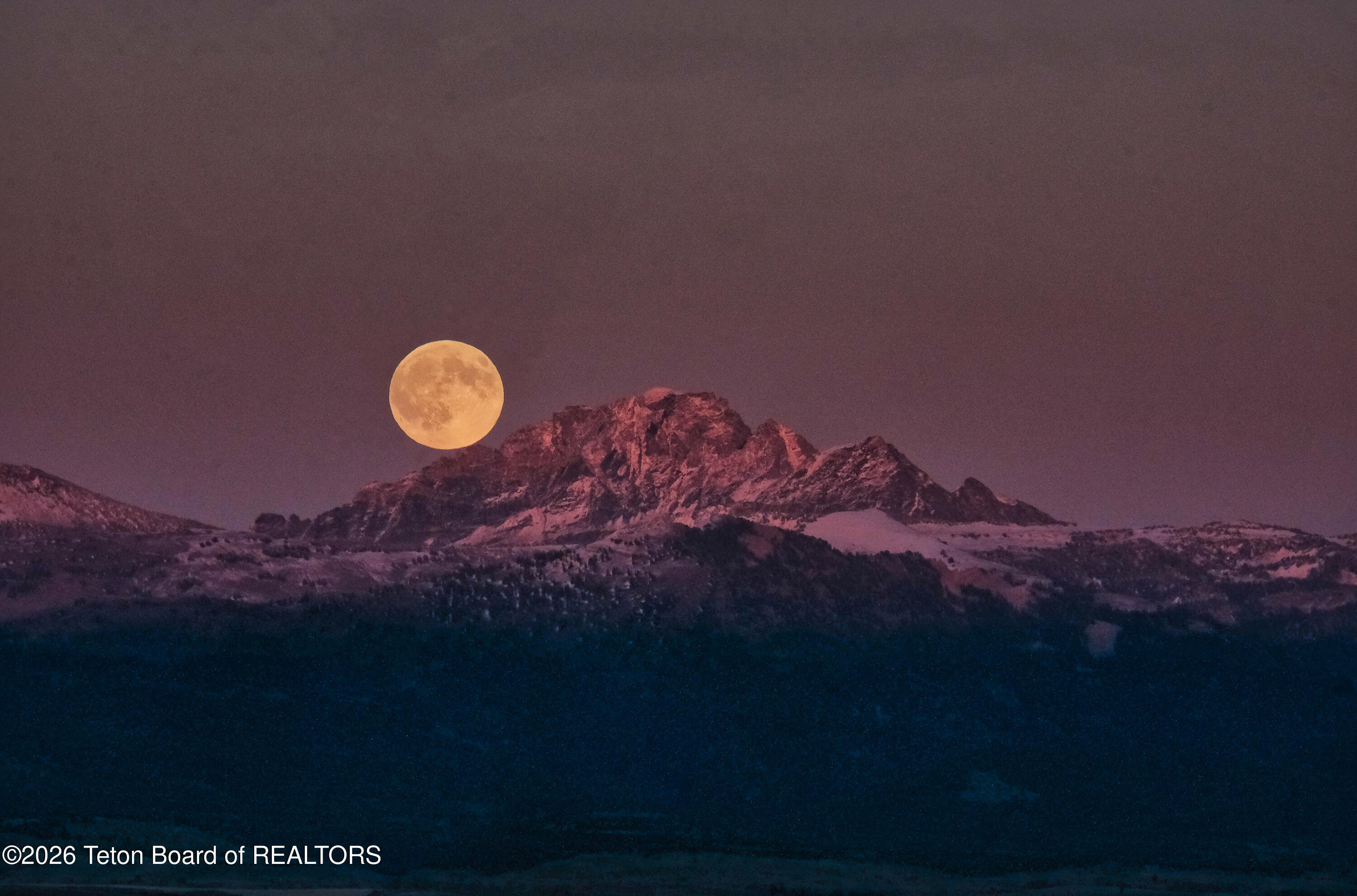 8900 Appaloosa Tetonia, ID 83452 - Photo 5 of 17 Appaloosa Ridge_Views_MLS-9