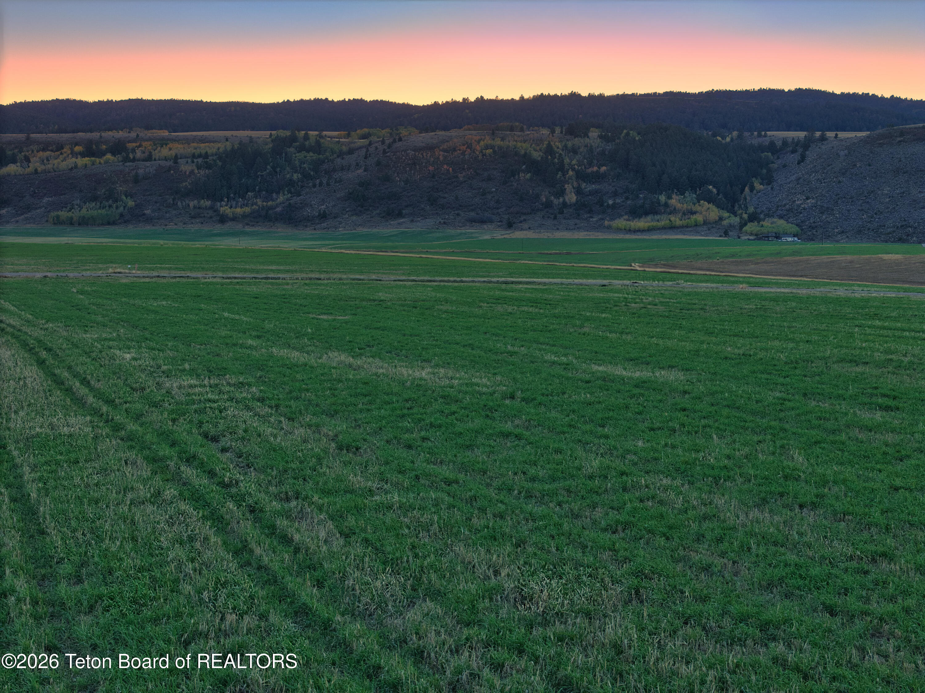 8900 Appaloosa Tetonia, ID 83452 - Photo 7 of 17 Appaloosa Ridge_Views_MLS-13