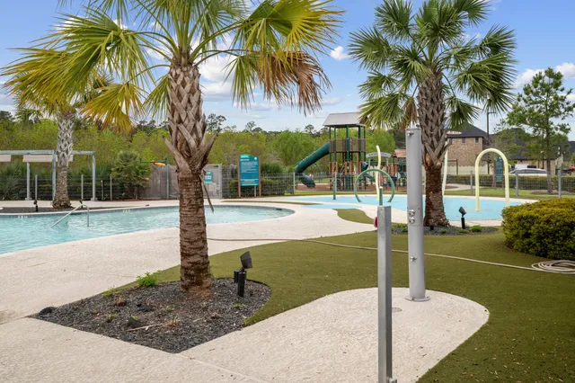 a park with palm trees