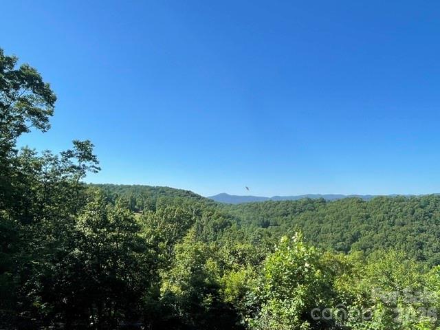 1300 Towery Trace Road Ellenboro, NC 28040 - Photo 21 of 38
