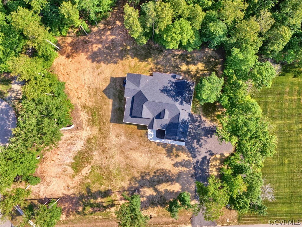 3625 Branch Springs Road Powhatan, VA 23139 - Photo 10 of 50 Gallery Image 10