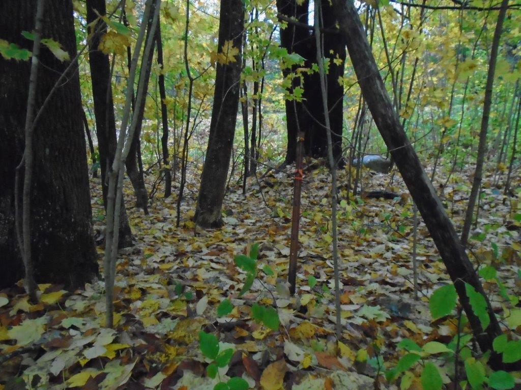 Lot 13 Middle Road Sidney, ME 04330 - Photo 3 of 9 Corner Pin