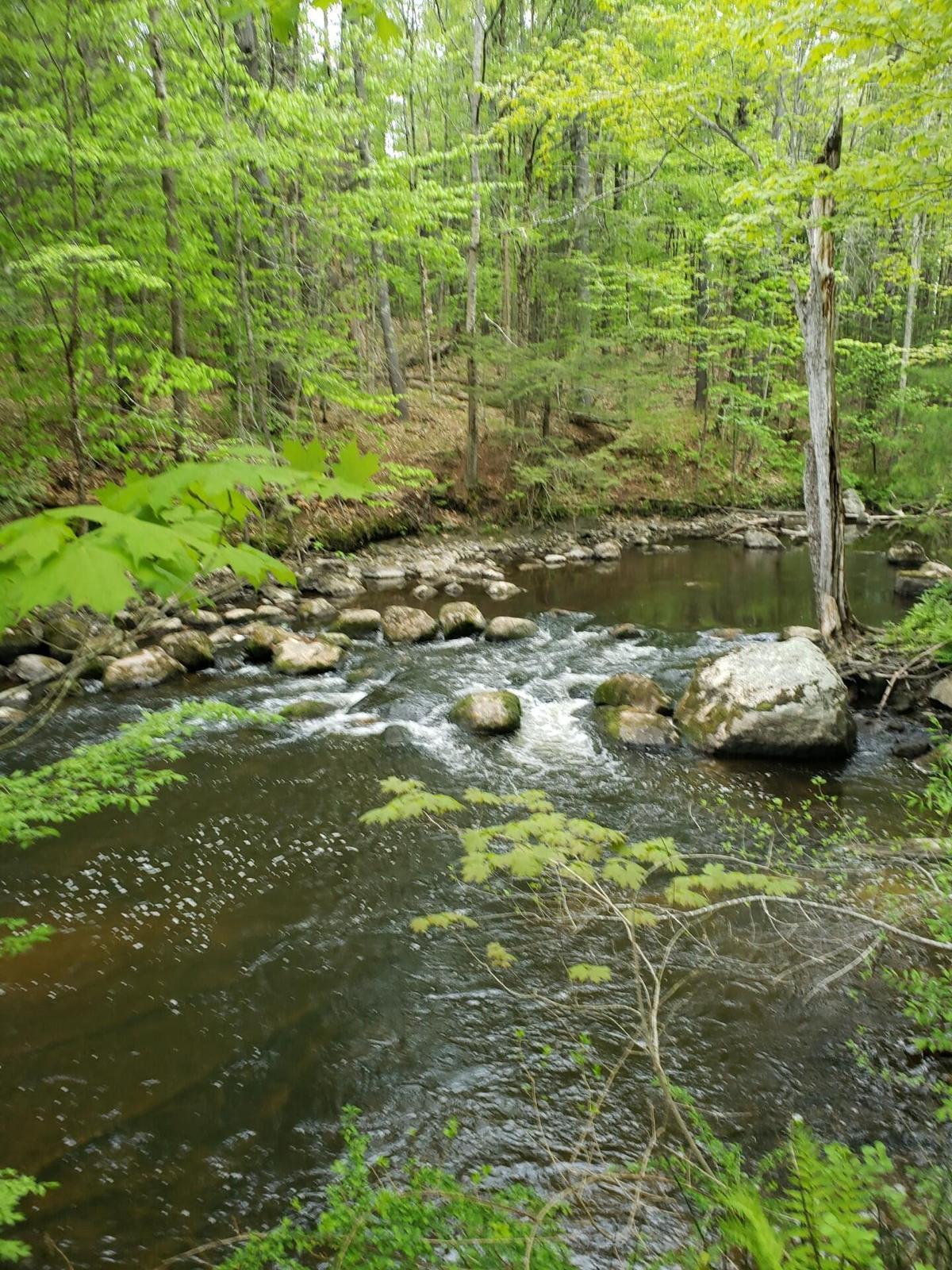 0 Hall Road Windham, ME 04062 - Photo 1 of 5 IMG_0287