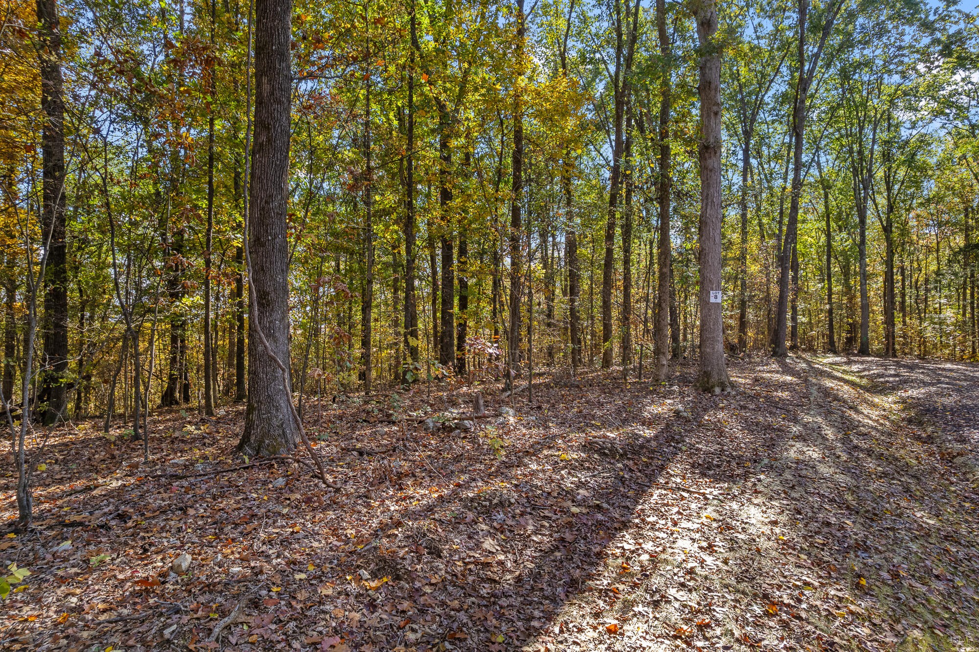 29 County Road Riceville, TN 37370 - Photo 12 of 29 Gallery Image 12