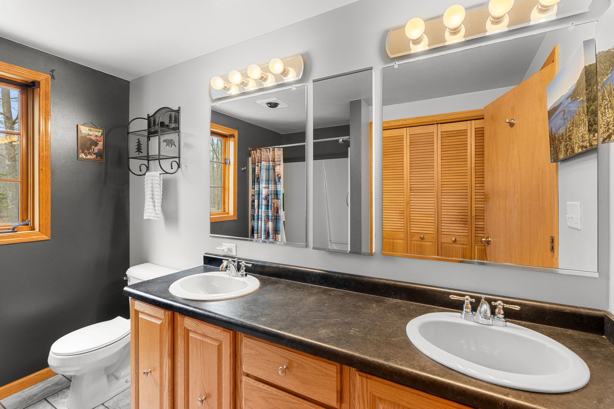 1388 West Town Hall Road Springbrook, WI 54875 - Photo 22 of 55 Main floor bathroom, double sinks and tub surround.