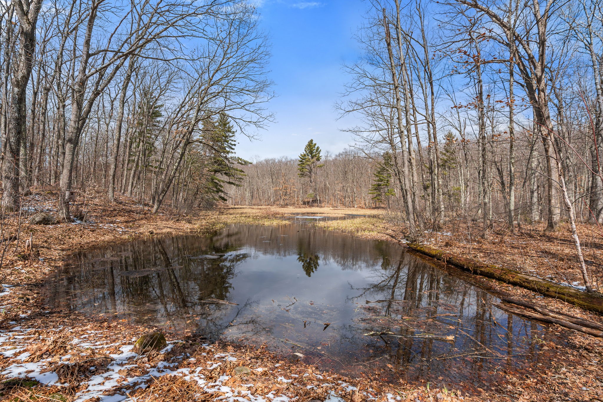 1388 West Town Hall Road Springbrook, WI 54875 - Photo 44 of 55 Pond
