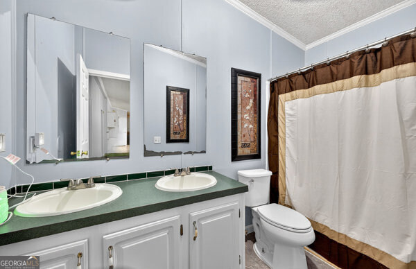 1090 South Hampton Road Hampton, GA 30228 - Photo 17 of 21 a bathroom with a granite countertop sink and a mirror a toilet a shower curtain