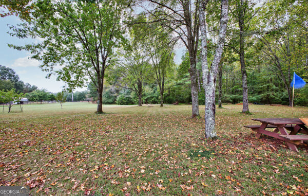 1090 South Hampton Road Hampton, GA 30228 - Photo 21 of 21 a view of a yard with a tree