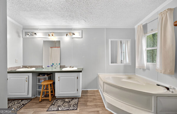 1090 South Hampton Road Hampton, GA 30228 - Photo 9 of 21 a spacious bathroom with a tub sink and mirror