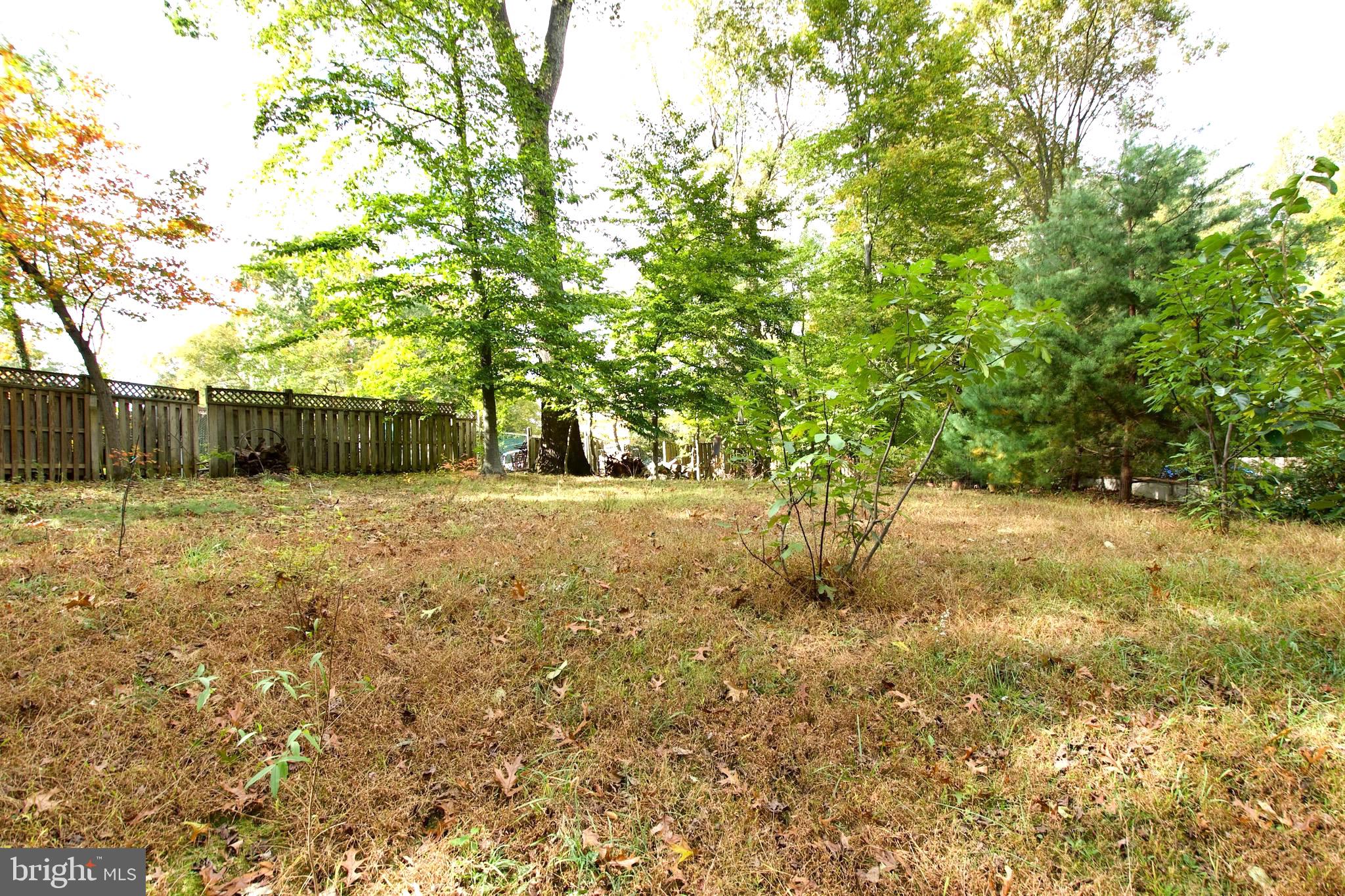 8312 Upper Spring Lane Annandale, VA 22003 - Photo 56 of 56 a view of a yard with plants and trees