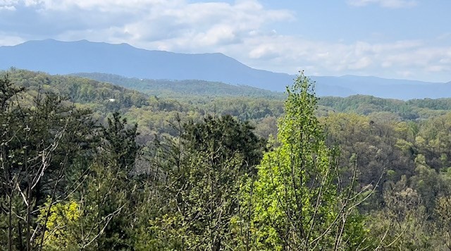 1815 Timber Ridge Way Sevierville, TN 37876 - Photo 6 of 27