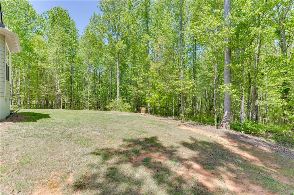 7660 Fern Lane Lula, GA 30554 - Photo 44 of 50 a view of a yard with a trees